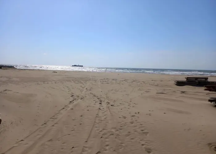 Raisin D'or, T2, Parking, Piscine * Agde